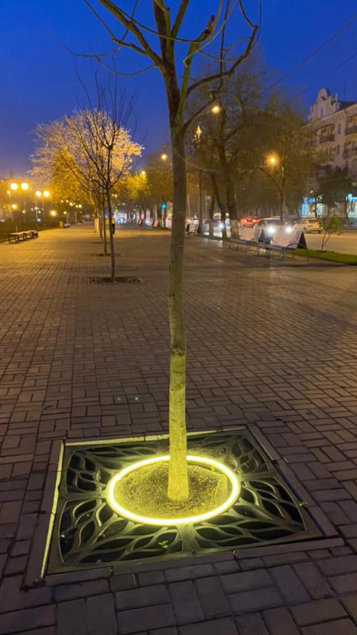 Приствольная решетка для дерева ZKING CRUST 1.2х1.2м Черная в Кириши фото